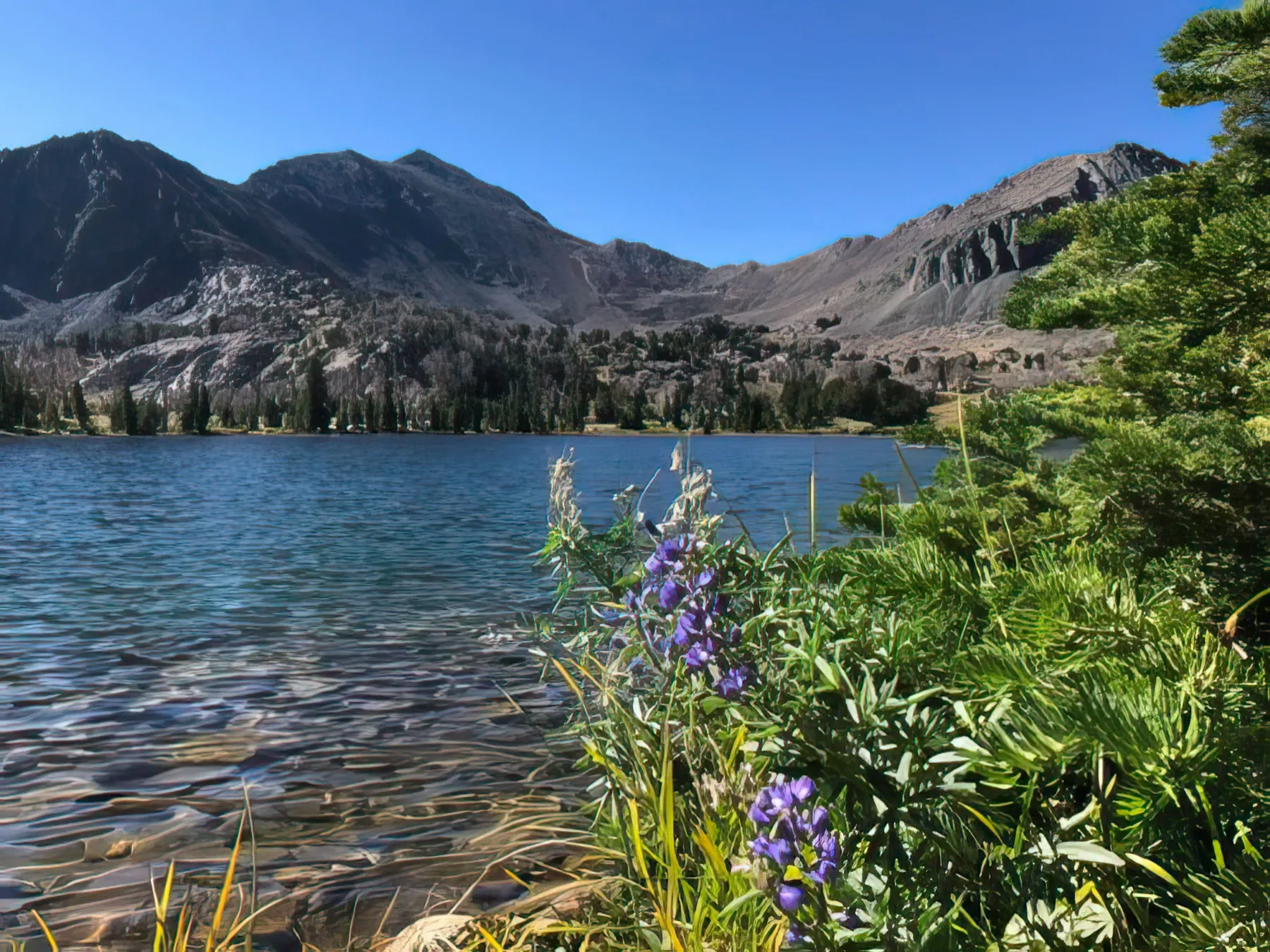 Copper Basin: An Alpine Lakes Adventure ATV Tour