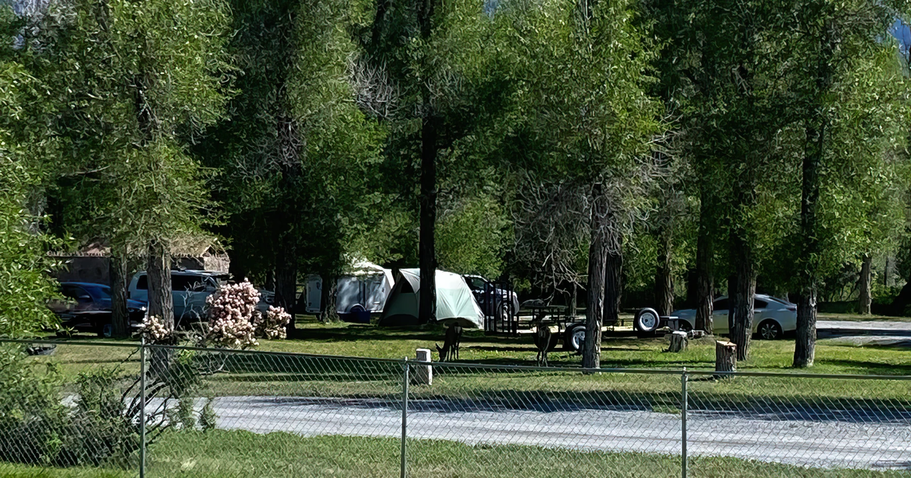 Mackay Tourist Park and Campground